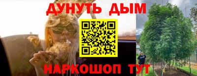 spice Ставрополь