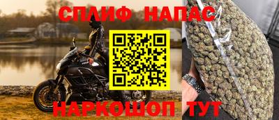 ПСИЛОЦИБИНОВЫЕ ГРИБЫ Славгород