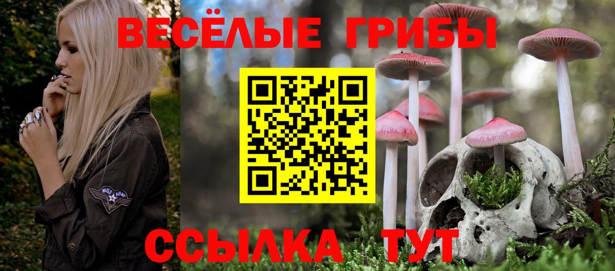 Галлюциногенные грибы прущие грибы  Вход с VPN  Новоалександровск 