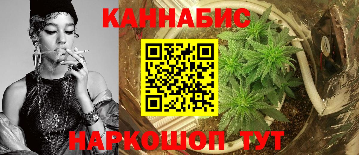Новоалександровск  Канабис семена  Бошки Шишки LSD WEED  Канабис семена  Вход с VPN 